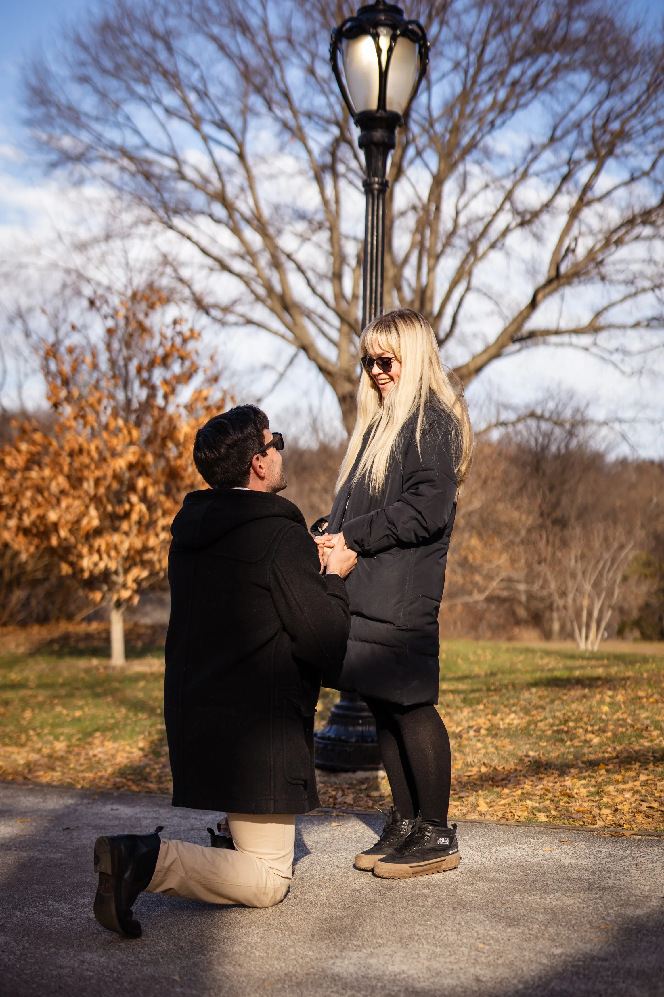 Igor proposing to Sally in Central Park